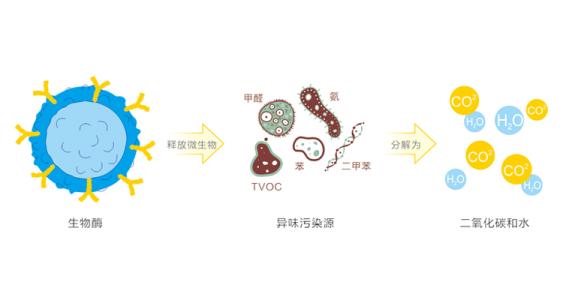 光触媒除甲醛和生物酶除甲醛区别